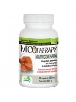 Micotherapy Auricularia 90 Capsule AVD Reform