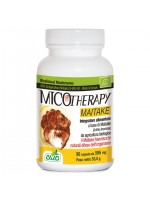 Micotherapy Maitake 90 capsule AVD Reform