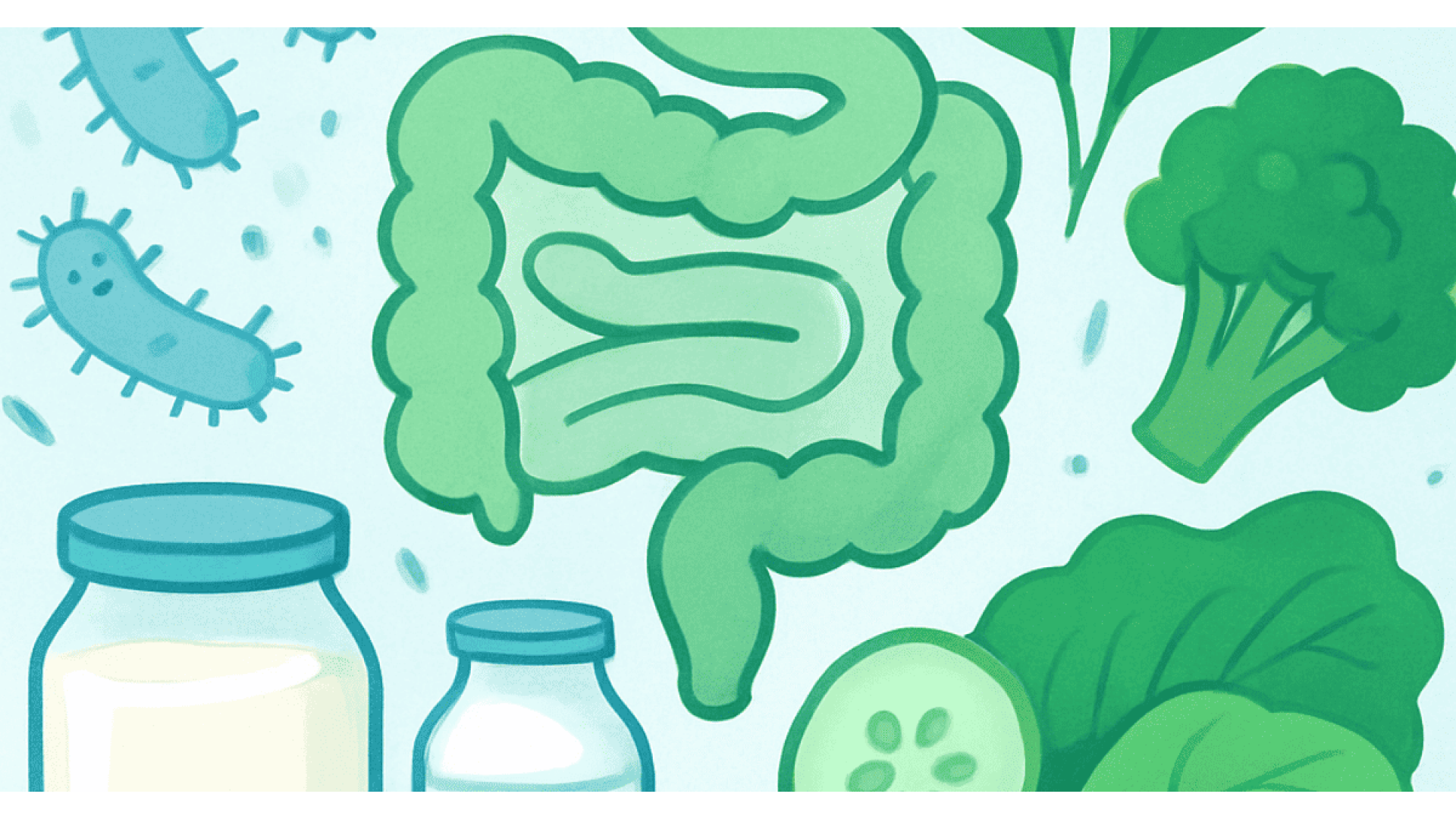 Probiotici Naturali Rigenerazione Del Microbiota Intestinale