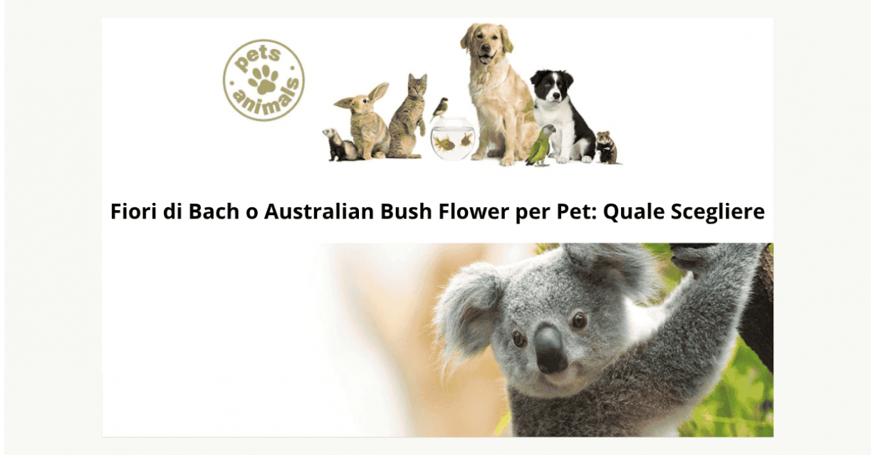 Fiori di Bach o Australian Bush Flower per Pet: Quale Scegliere