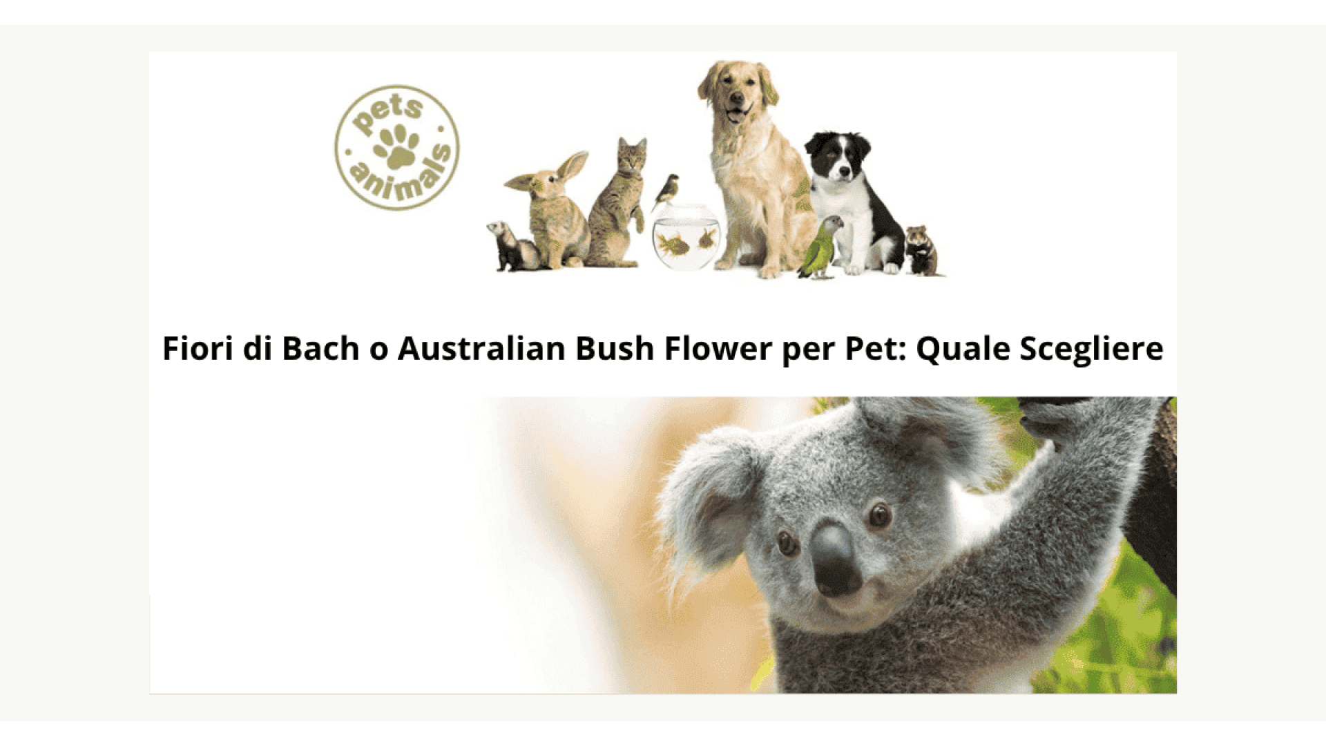 Fiori di Bach o Australian Bush Flower per Pet: Quale Scegliere