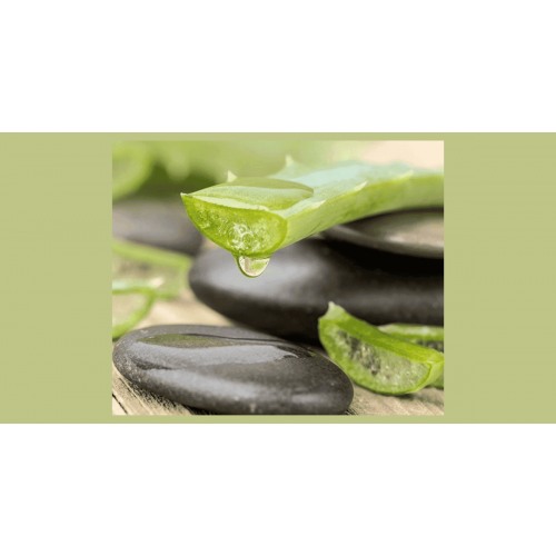 Aloe Vera: Usi, Benefici e Proprietà