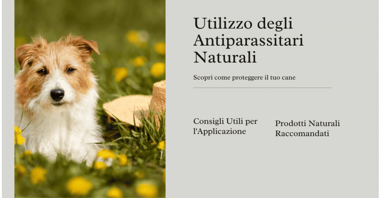 Antiparassitari Naturali per Cani: Guida Completa
