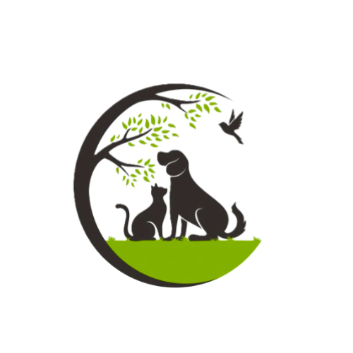 Amici 4 Zampe: Rubrica su Animali Domestici e Salute