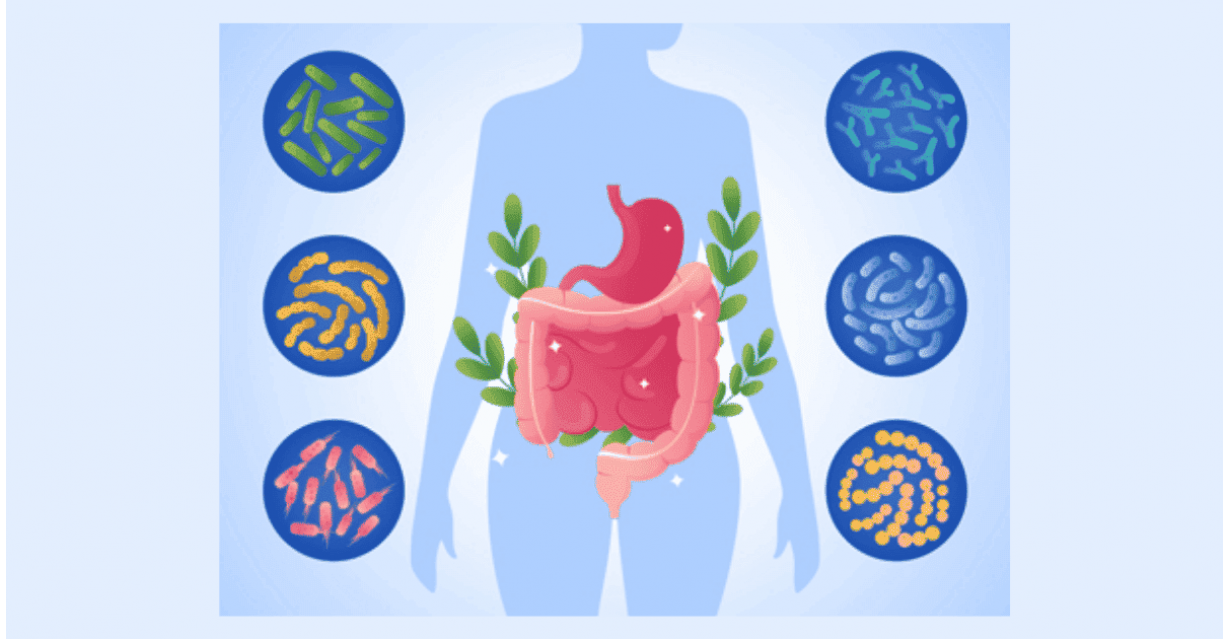 Probiotici e Fermenti Lattici: Guida alla Scelta