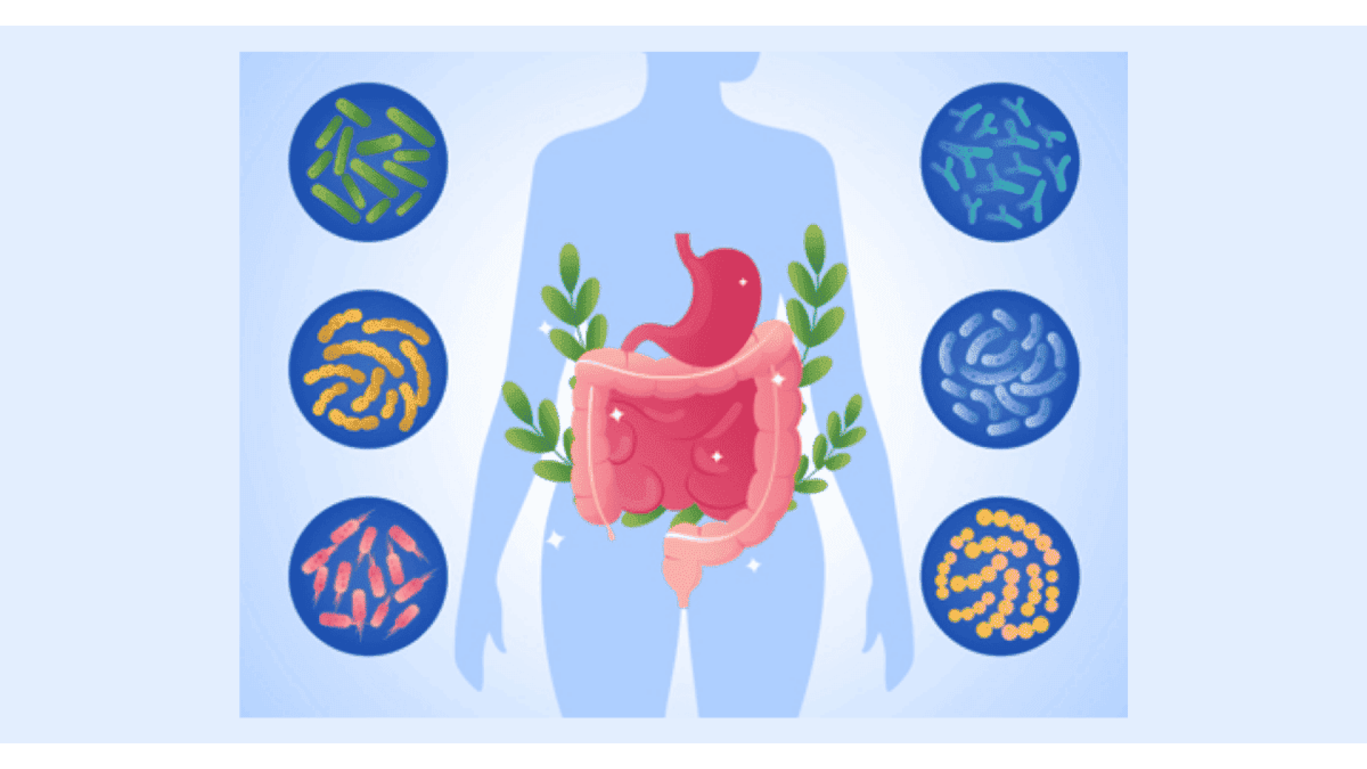 Probiotici e Fermenti Lattici: Guida alla Scelta