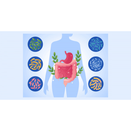 Probiotici e Fermenti Lattici: Guida alla Scelta