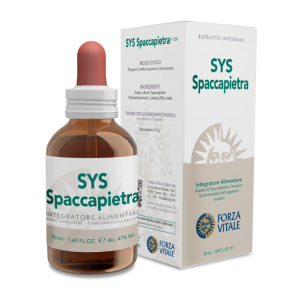 SYS SPACCAPIETRA SYS SPACCAPIETRA