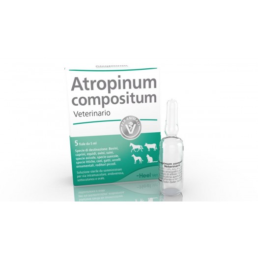 Atropinum compositum Veterinario 5 Fiale