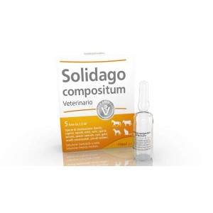 Solidago compositum Veterinario 5 Fiale Solidago compositum Veterinario 5 Fiale