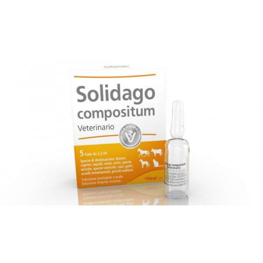 Solidago compositum Veterinario 5 Fiale