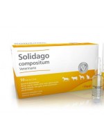 Solidago compositum Veterinario 50 Fiale