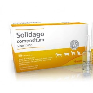 Solidago compositum Veterinario 50 Fiale
