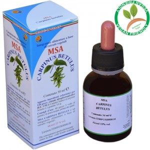 MSA CARPINUS BETULUS 50ML – HERBOPLANET MSA CARPINUS BETULUS 50ML – HERBOPLANET