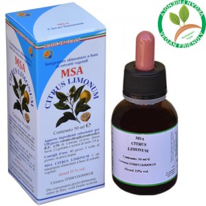 MSA CITRUS LIMONUM 50ML – gemme e scorza di stelo (Limone) – HERBOPLANET MSA CITRUS LIMONUM 50ML – gemme e scorza di stelo (Limone) – HERBOPLANET