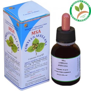 MSA CORYLUS AVELLANA 50ML – gemme (Nocciolo) – HERBOPLANET MSA CORYLUS AVELLANA 50ML – gemme (Nocciolo) – HERBOPLANET