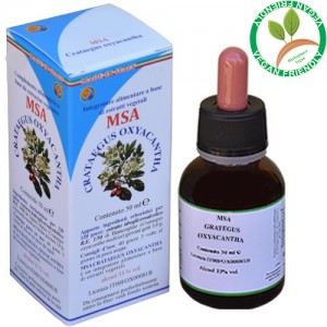 MSA CRATAEGUS OXYACANTHA 50ML – Giovani Getti (Biancospino) – HERBOPLANET MSA CRATAEGUS OXYACANTHA 50ML – Giovani Getti (Biancospino) – HERBOPLANET