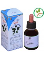 MSA FICUS CARICA 50ML – gemme (Fico) – HERBOPLANET