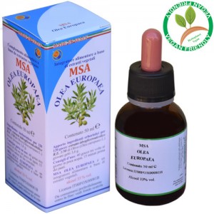 MSA OLEA EUROPEA 50ML – giovani getti (Olivo) – HERBOPLANET MSA OLEA EUROPEA 50ML – giovani getti (Olivo) – HERBOPLANET