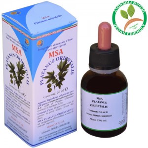 MSA PLATANUS ORIENTA 50ML – gemme (Platano) – HERBOPLANET MSA PLATANUS ORIENTA 50ML – gemme (Platano) – HERBOPLANET
