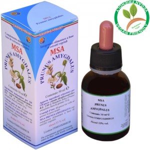 MSA PRUNUS AMYGDALUS 50ML – gemme (Mandorlo dolce) – HERBOPLANET MSA PRUNUS AMYGDALUS 50ML – gemme (Mandorlo dolce) – HERBOPLANET