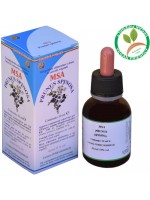 MSA PRUNUS SPINOSA 50ML – gemme (Prugnolo) – HERBOPLANET