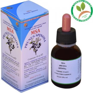 MSA PRUNUS SPINOSA 50ML – gemme (Prugnolo) – HERBOPLANET MSA PRUNUS SPINOSA 50ML – gemme (Prugnolo) – HERBOPLANET