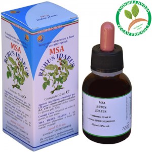 MSA RUBUS IDAEUS 50ML – giovani getti (Lampone) – HERBOPLANET MSA RUBUS IDAEUS 50ML – giovani getti (Lampone) – HERBOPLANET