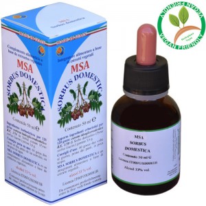 MSA SORBUS DOMESTICA 50ML – gemme (Sorbo) – HERBOPLANET MSA SORBUS DOMESTICA 50ML – gemme (Sorbo) – HERBOPLANET