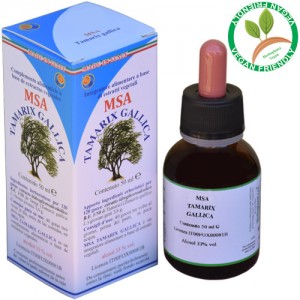 MSA TAMARIX GALLICA 50ML – giovani getti (Tamerici) – HERBOPLANET MSA TAMARIX GALLICA 50ML – giovani getti (Tamerici) – HERBOPLANET