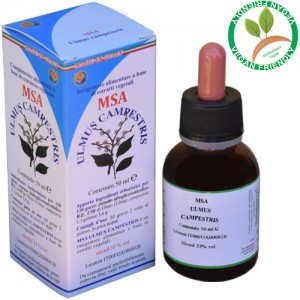 MSA ULMUS CAMPESTRIS 50ML – gemme (Olmo) – HERBOPLANET MSA ULMUS CAMPESTRIS 50ML – gemme (Olmo) – HERBOPLANET