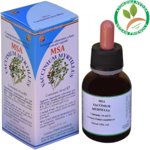 MSA VACCINIUM MYRTIL 50ML – giovani getti (Mirtillo nero) – HERBOPLANET MSA VACCINIUM MYRTIL 50ML – giovani getti (Mirtillo nero) – HERBOPLANET