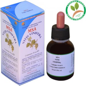 MSA VITIS VINIFERA 50ML – gemme (Vite) – HERBOPLANET MSA VITIS VINIFERA 50ML – gemme (Vite) – HERBOPLANET