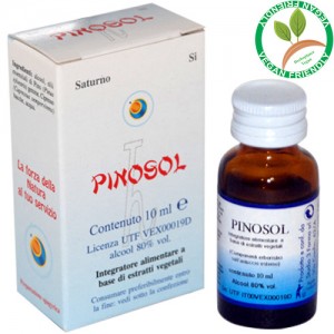 PINOSOL LIQUIDO 10ML – HERBOPLANET PINOSOL LIQUIDO 10ML – HERBOPLANET