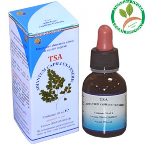 TSA ADIANTUM CAPILLUS 50ML – parti aeree (Capelvenere) – HERBOPLANET TSA ADIANTUM CAPILLUS 50ML – parti aeree (Capelvenere) – HERBOPLANET