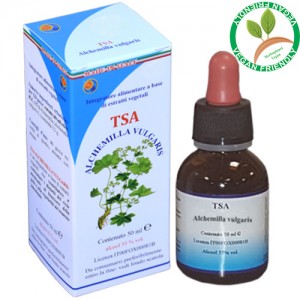 TSA ALCHEMILLA VULGARIS 50ML – HERBOPLANET TSA ALCHEMILLA VULGARIS 50ML – HERBOPLANET