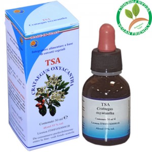 TSA CRATAEGUS OXYACANTHIA 50ML – fiori e foglie (Biancospino) – HERBOPLANET TSA CRATAEGUS OXYACANTHIA 50ML – fiori e foglie (Biancospino) – HERBOPLANET