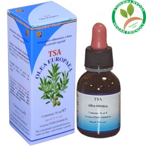 TSA OLEA EUROPEA 50ML – foglie (Olivo) – HERBOPLANET TSA OLEA EUROPEA 50ML – foglie (Olivo) – HERBOPLANET