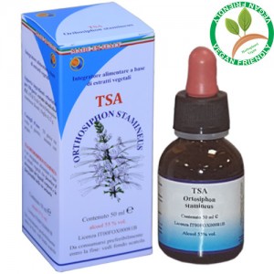 TSA ORTHOSIPHON STAMINEUS 50ML – HERBOPLANET TSA ORTHOSIPHON STAMINEUS 50ML – HERBOPLANET