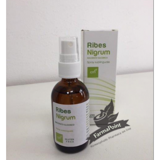 Ribes nigrum spray OTI alternativa naturale al cortisone