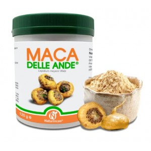 Maca delle Ande 120 Gr in Polvere Maca delle Ande 120 Gr in Polvere