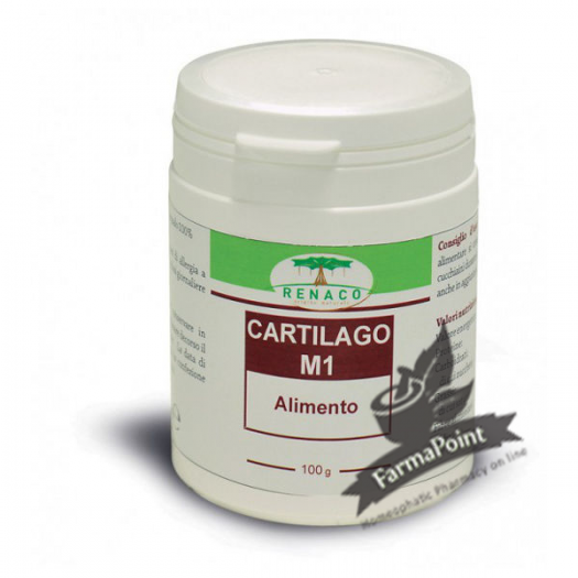 Cartilago M1