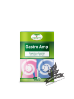 Gastro AMP