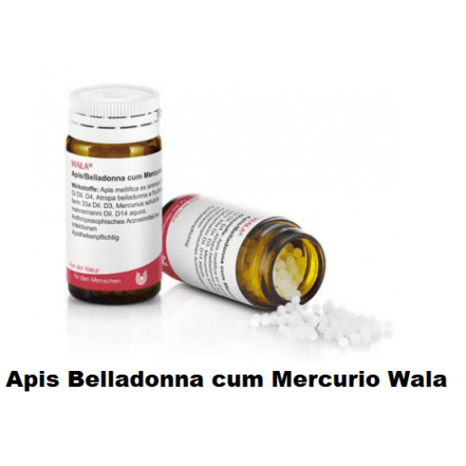 Apis Belladonna cum Merc