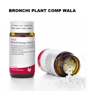 BRONCHI PLANT COMP