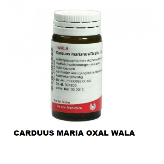 CARDUUS MARIA OXAL