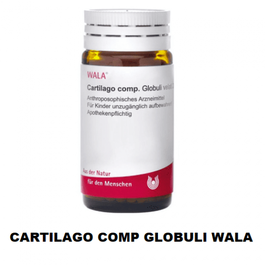 CARTILAGO COMP WALA