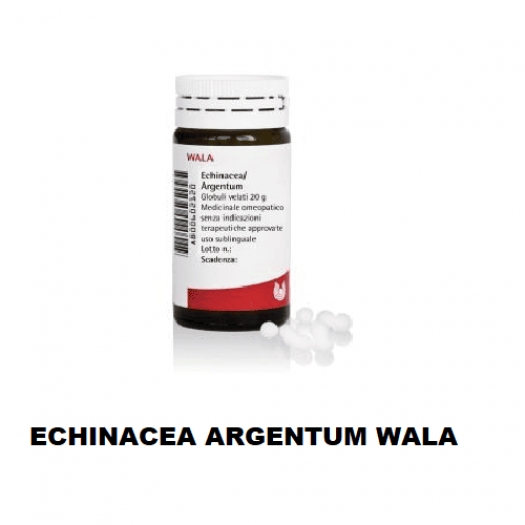 ECHINACEA ARG WALA