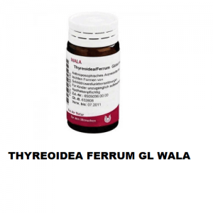 THYREOIDEA FERRUM WALA THYREOIDEA FERRUM WALA