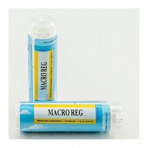 Macro Reg Macro Reg